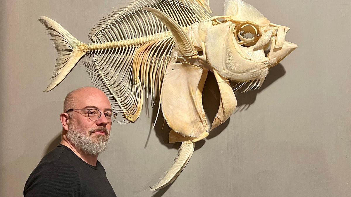 Plzeňský učitel biologie vypreparoval kostru unikátní ryby. Je prvním v Evropě